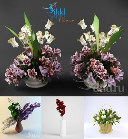 مدل سه بعدی گل خانگی