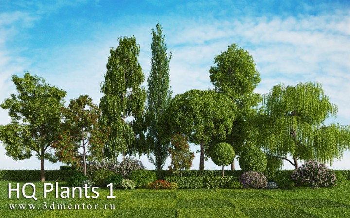 مدل سه بعدی درخت(مجموعه اول)