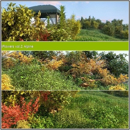 دانلود رایگان مدل سه بعدی گیاهان کوهستانی(مجموعه دوم)
