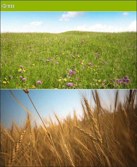 مدل سه بعدی علف