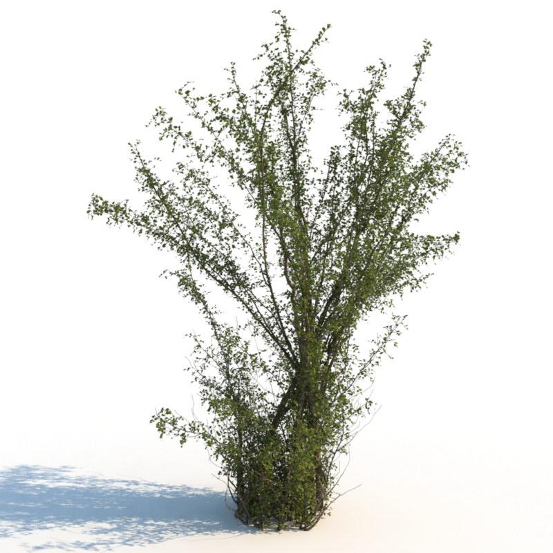 مدل های سه بعدی(3DS Max)
