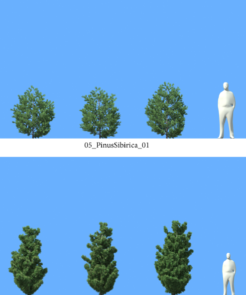 R&D Group - iTrees Vol 5 Pine Trees (1)