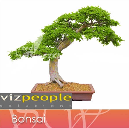 دانلود رایگان مدل سه بعدی بونسای