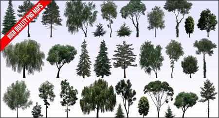 دانلود رایگان فایل PNG درخت(مجموعه هشتم)