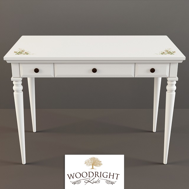 3DDD - Modern Table and Chair Childroom (11)