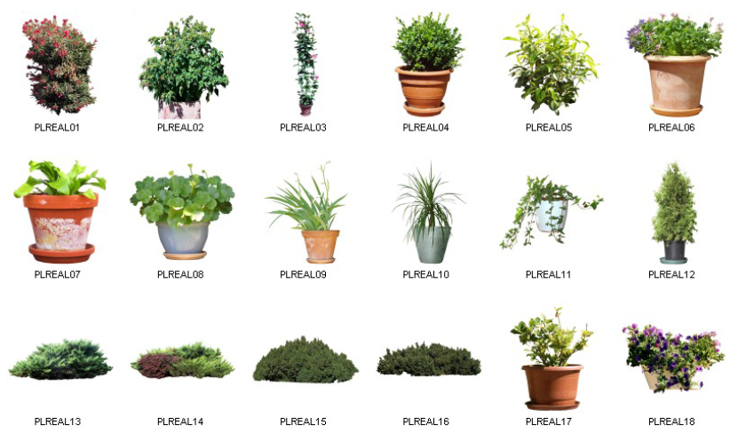 Dosch Design - 2D Viz-Images Plants (1)
