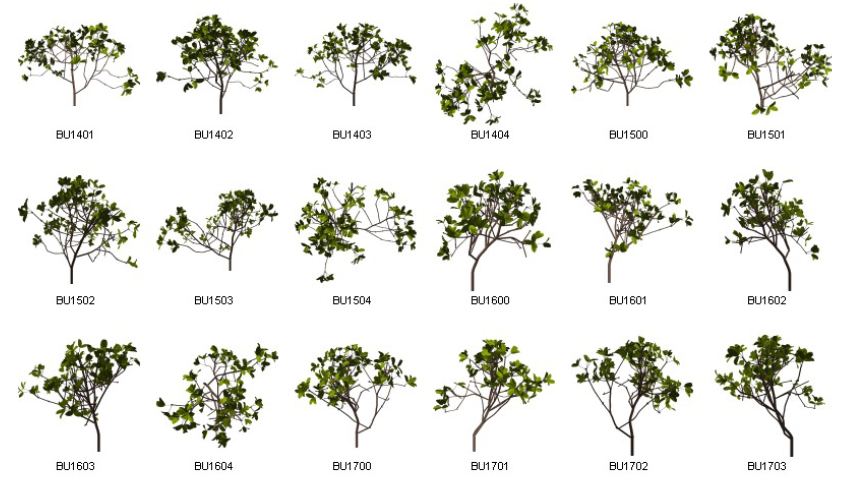 Dosch Design - 2D Viz-Images Plants (10)