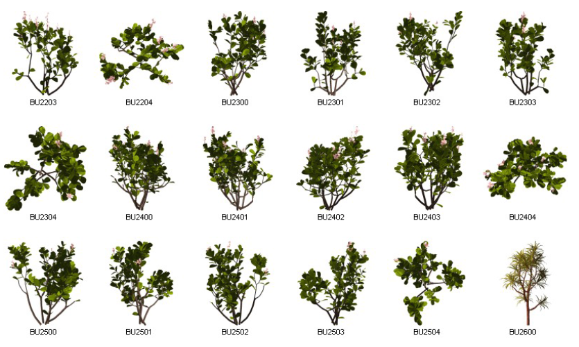 Dosch Design - 2D Viz-Images Plants (11)