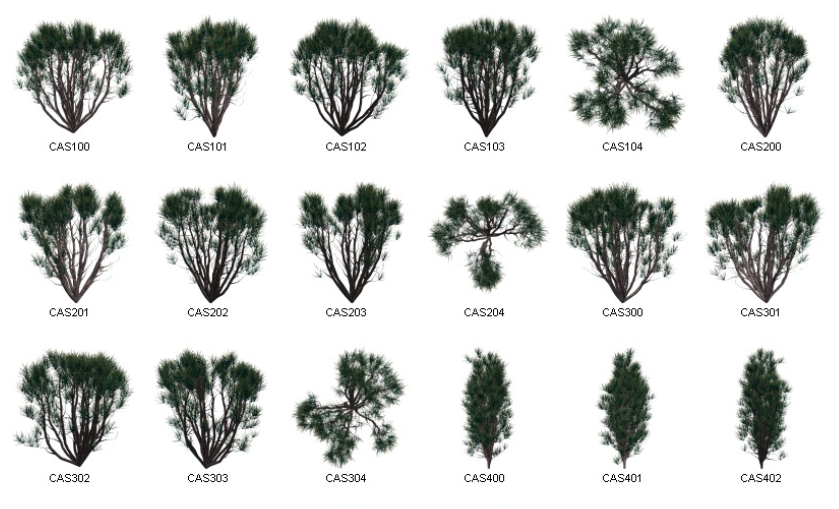 Dosch Design - 2D Viz-Images Plants (12)