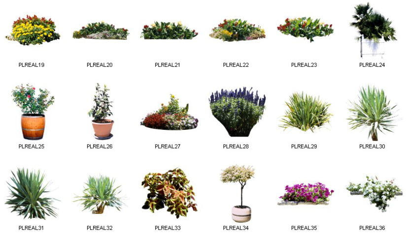 Dosch Design - 2D Viz-Images Plants (2)