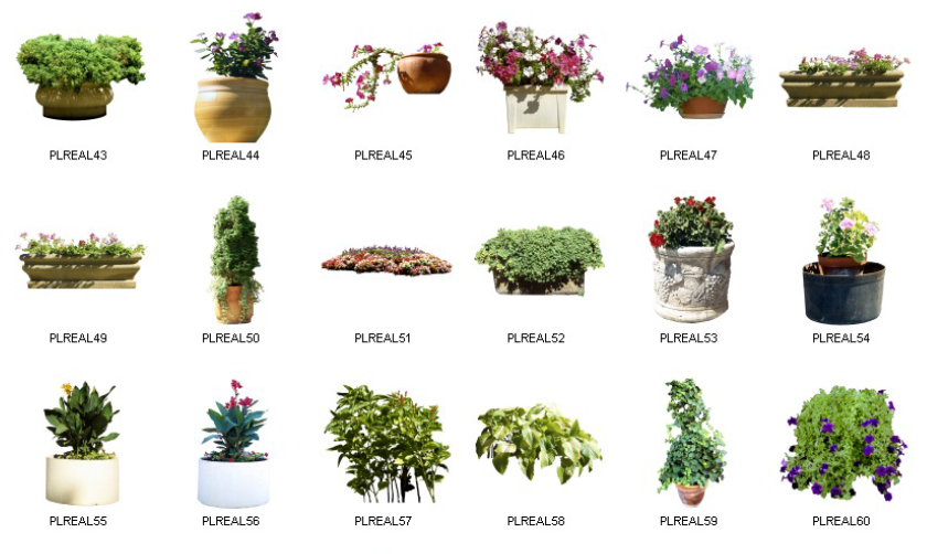 Dosch Design - 2D Viz-Images Plants (3)
