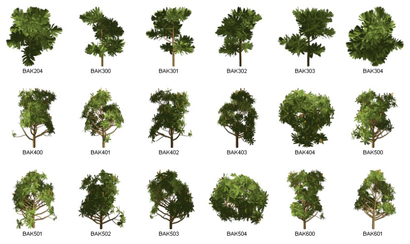 Dosch Design - 2D Viz-Images Plants (6)
