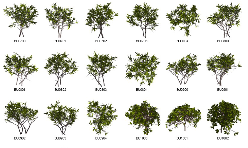 Dosch Design - 2D Viz-Images Plants (9)