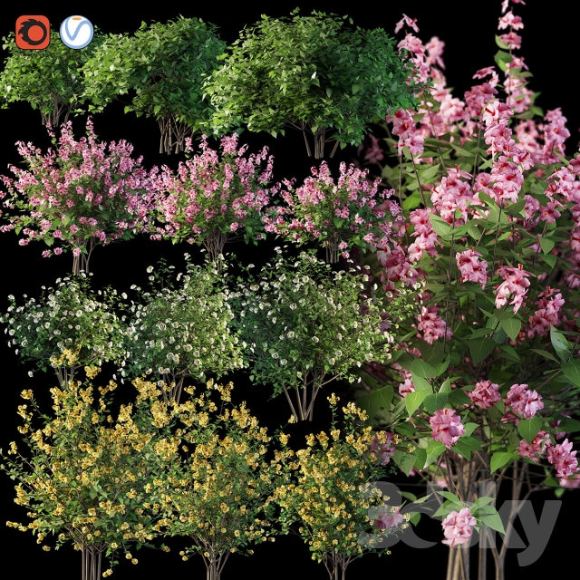 مدل های سه بعدی(3DS Max)