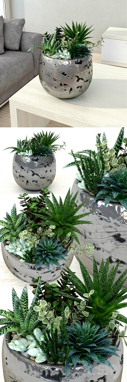 محصولات Pro 3DSky