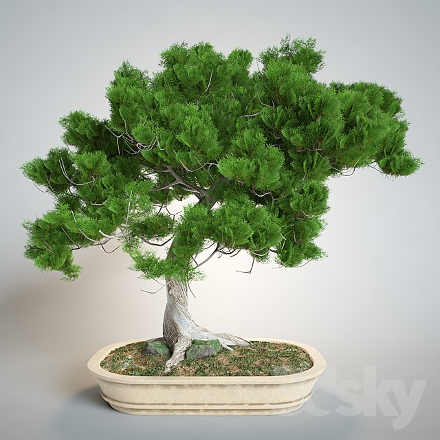مدل سه بعدی گل و گلدان 236