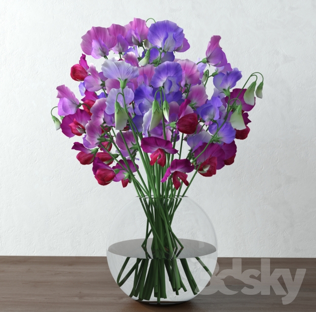 مدل های سه بعدی(3DS Max)