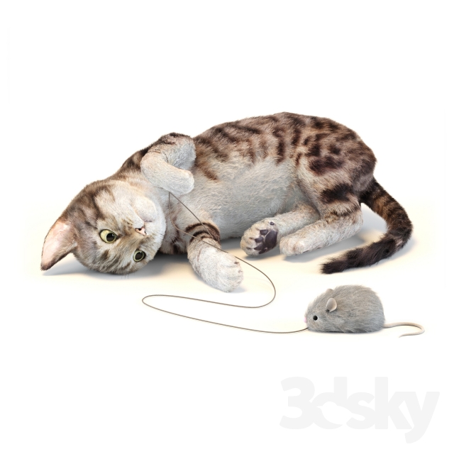 مدل سه بعدی گربه 3