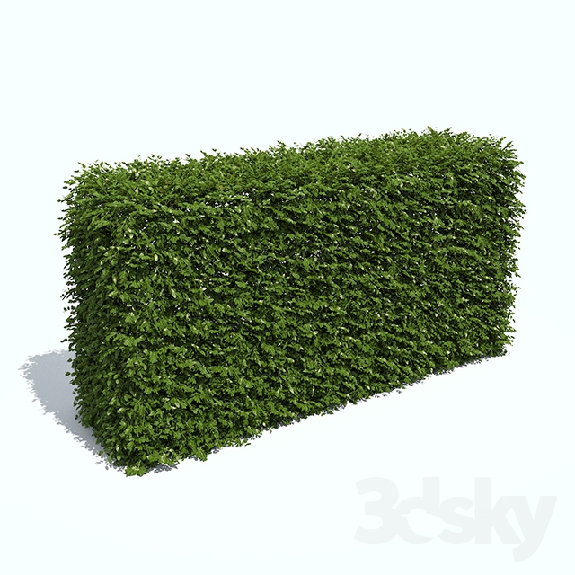 مدل سه بعدی گل دکوری 24
