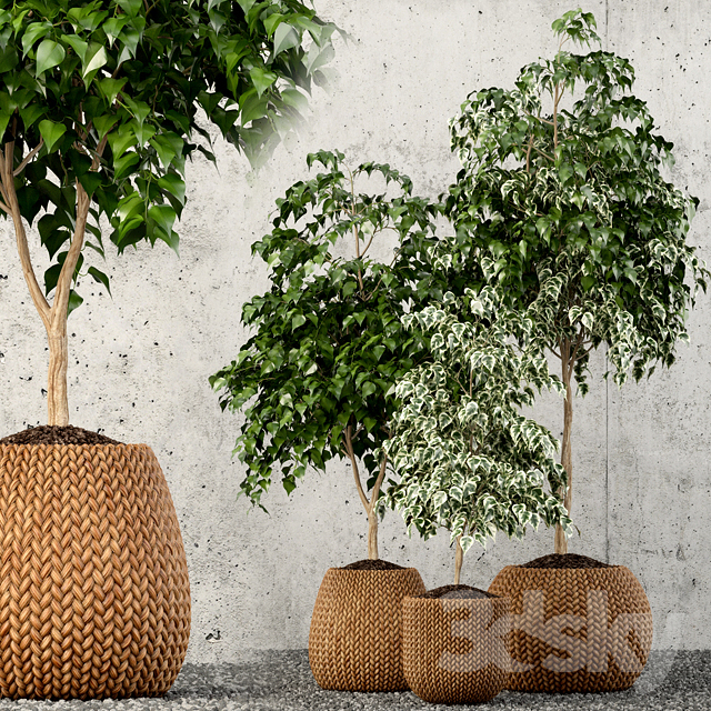 مدل های سه بعدی(3DS Max)