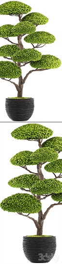 1460663.5a01c66075c00