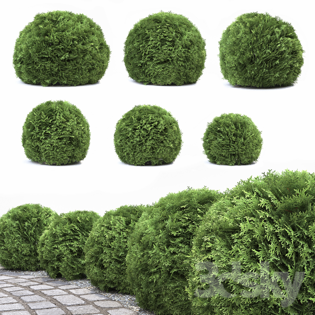 مدل سه بعدی درخت 13