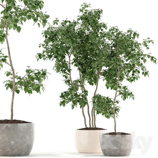 مدل سه بعدی گل و گلدان 416