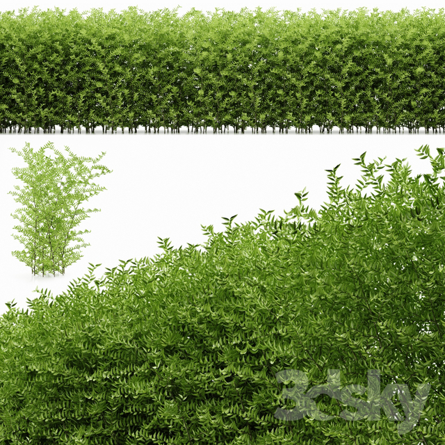مدل سه بعدی درخت 19