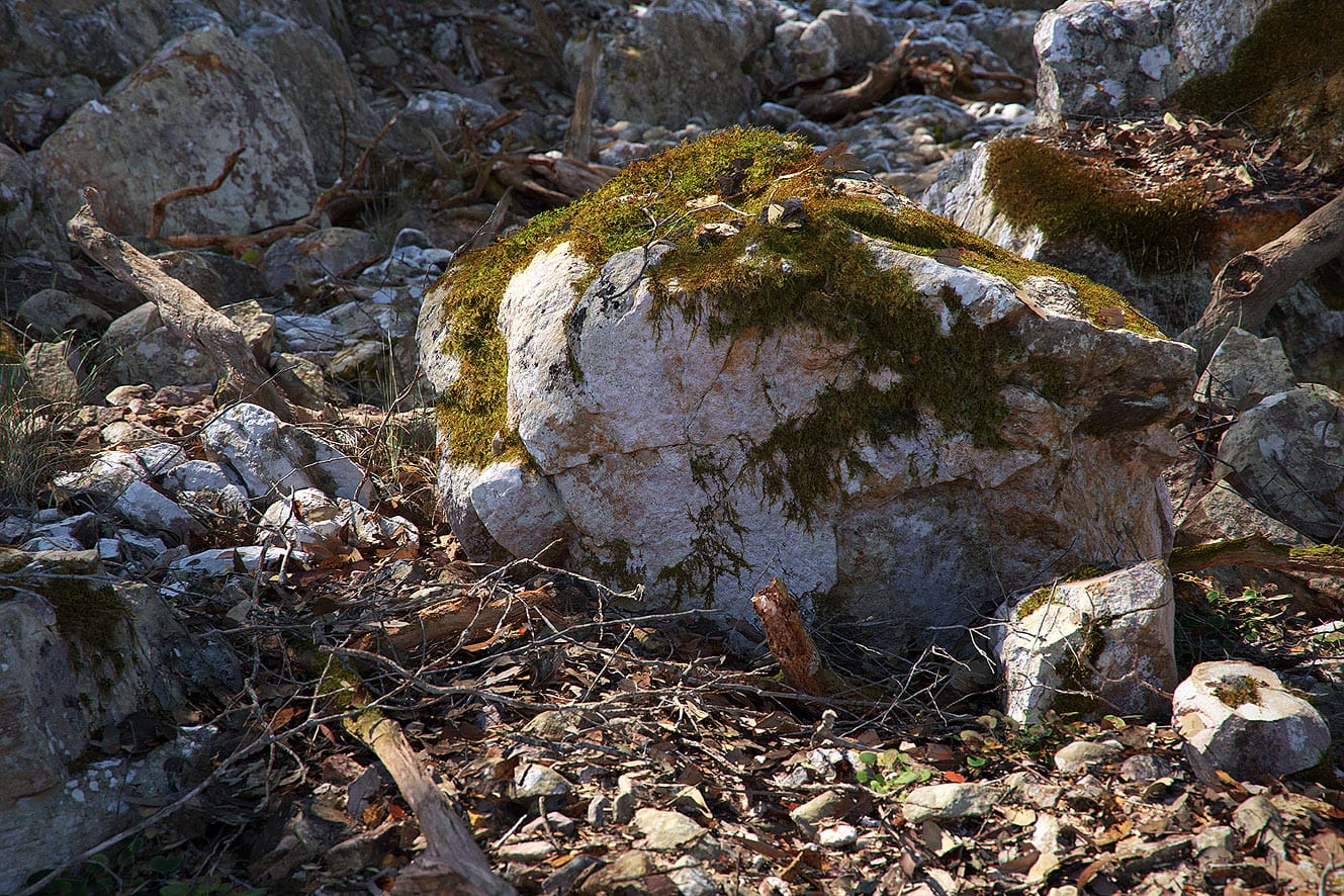 دانلود رایگان نرم افزار Quixel Megascans Studio v0.922 همراه با کتابخانه تکسچر