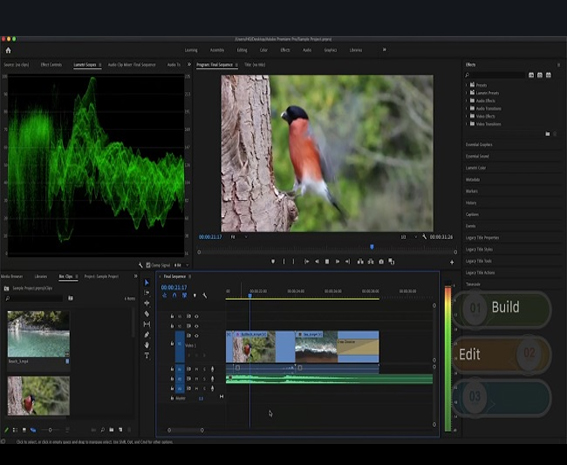 آموزش ویرایش ویدیو با Adobe Premiere Pro 2020