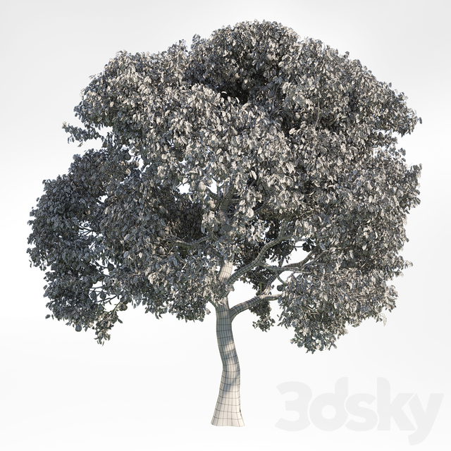 1986353.5b29413366e9b
