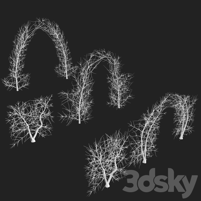 2409353.5ca7b7d58c63e