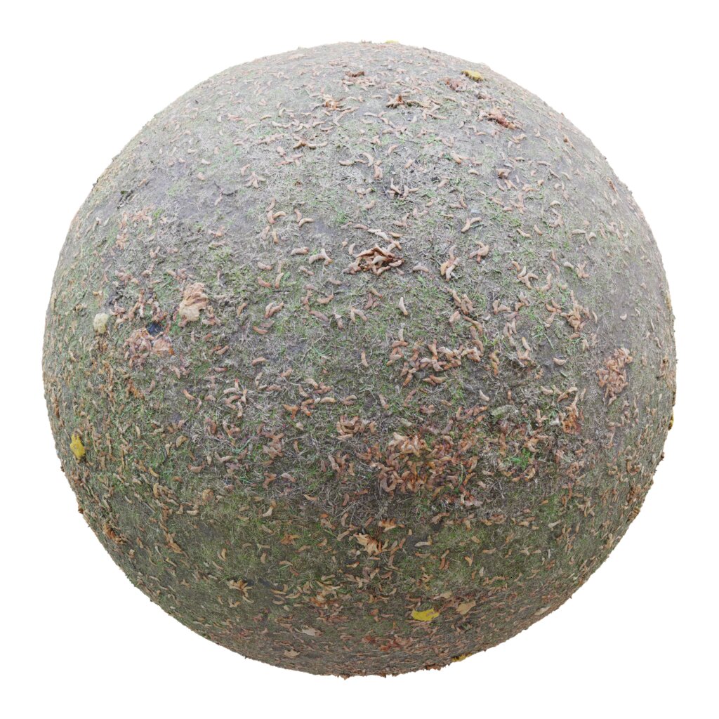 تکسچر زمین 20