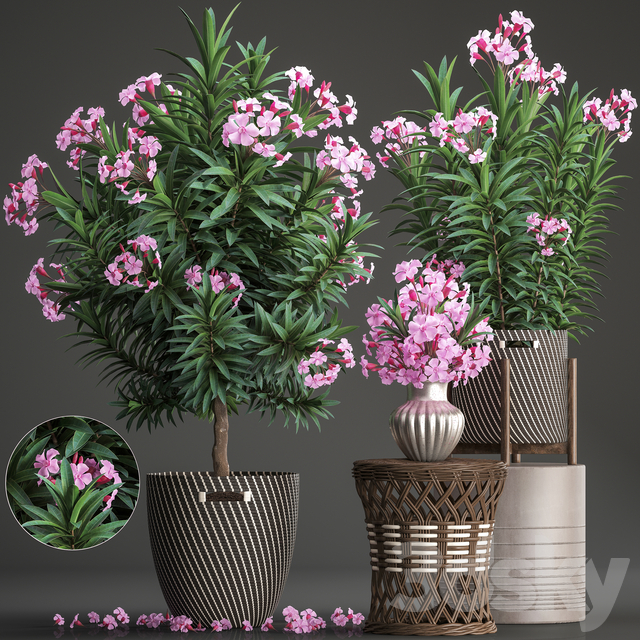 مدل سه بعدی درخت 110