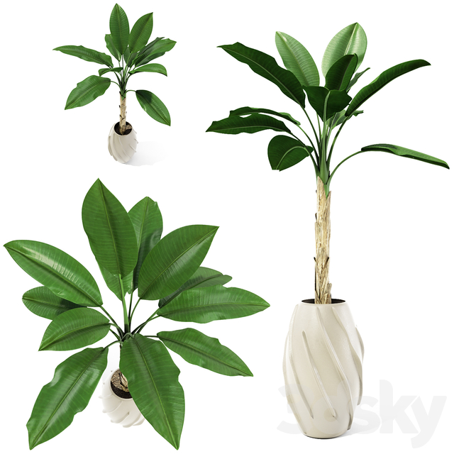 مدل سه بعدی گل و گلدان 675