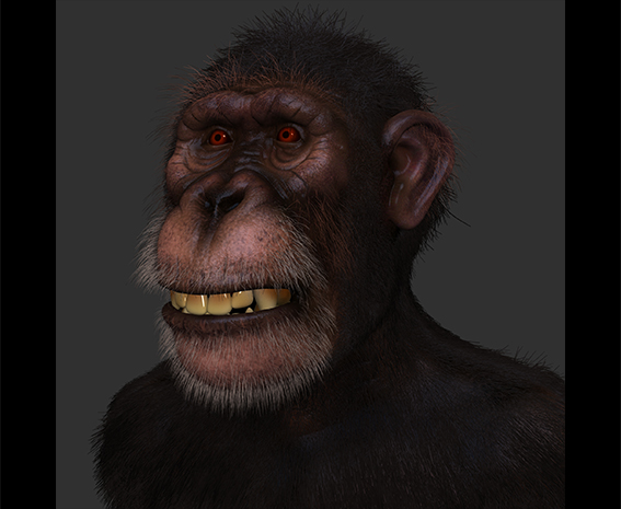 آموزش ایجاد یک شامپانزه واقعی در Zbrush 2020