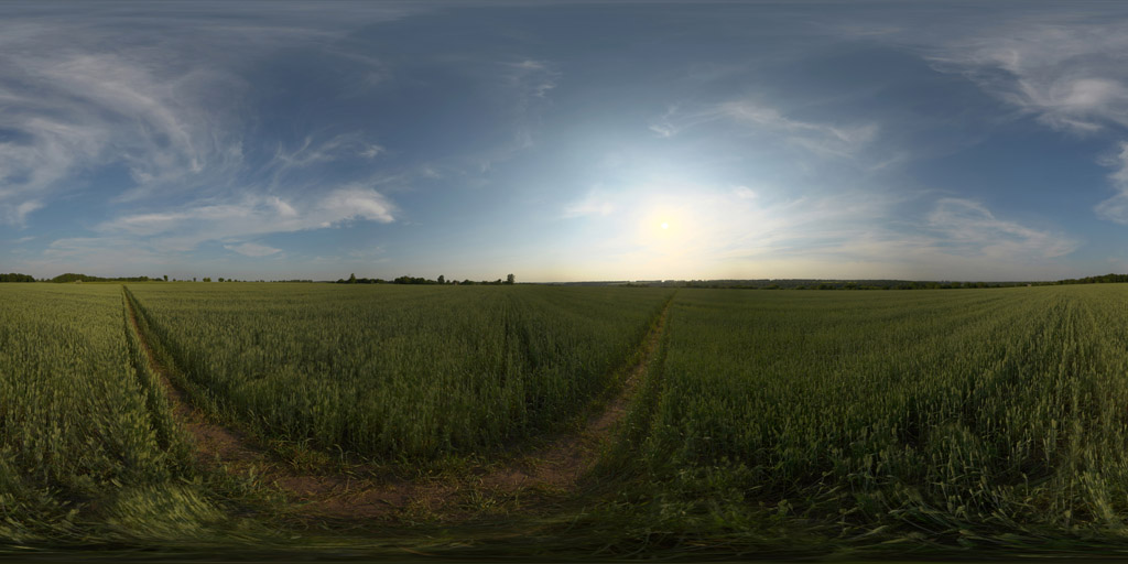 HdrOutdoorFieldAfternoonCloudy003_Preview1