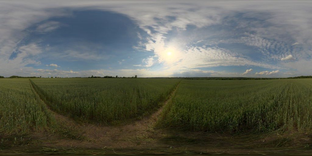 HdrOutdoorFieldAfternoonCloudy009_Preview1