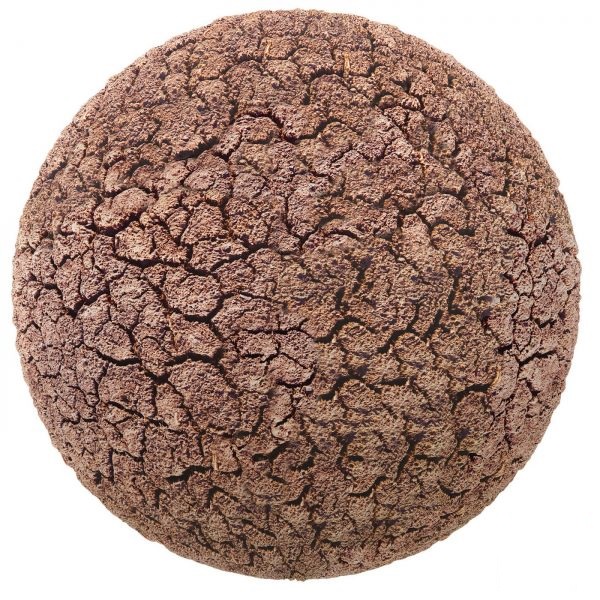 تکسچر زمین 54