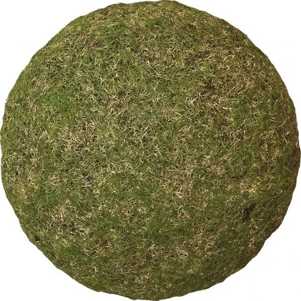 تکسچر زمین 60