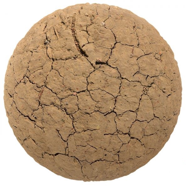 تکسچر زمین 66