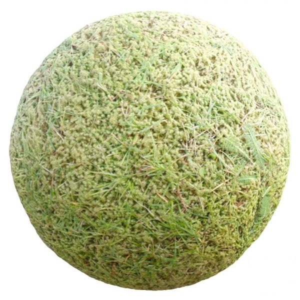 تکسچر زمین 71