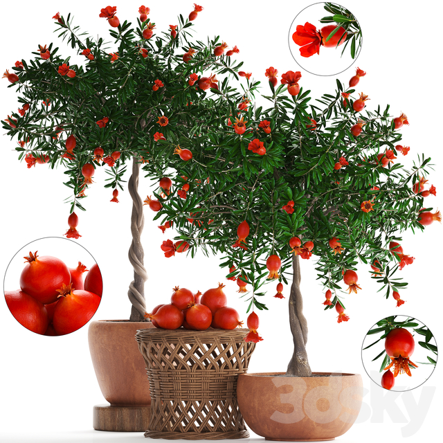 مدل سه بعدی درخت 148
