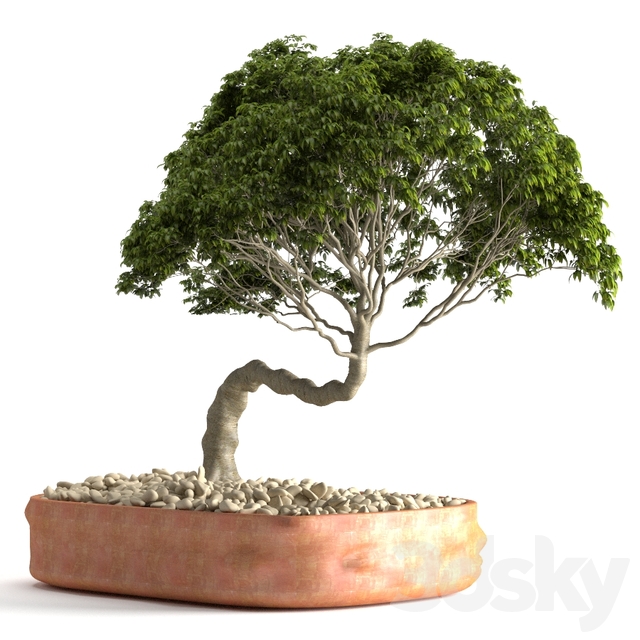 مدل سه بعدی گل و گلدان 739
