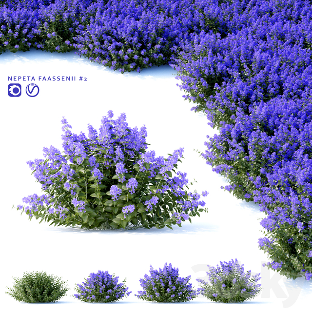 مدل سه بعدی درخت 143