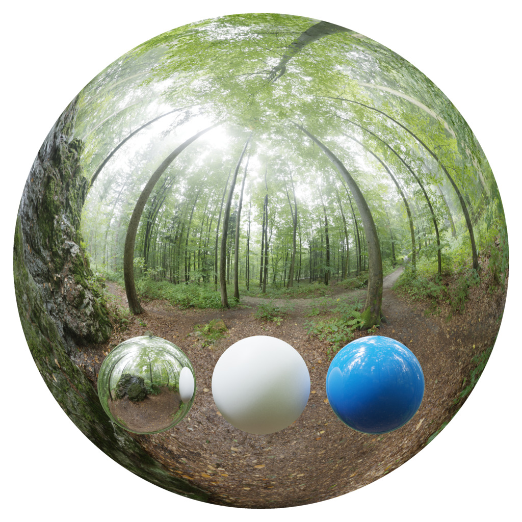 Outdoor HDRI 13