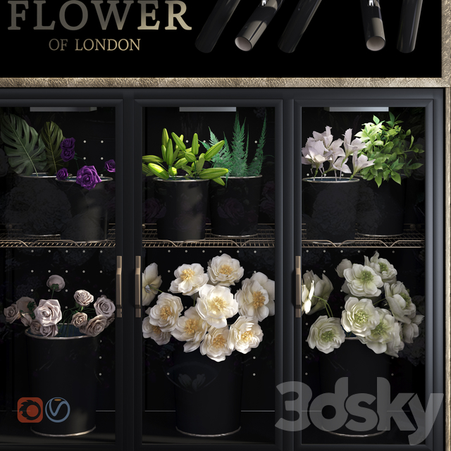 2547735.5d7b56aed31dc