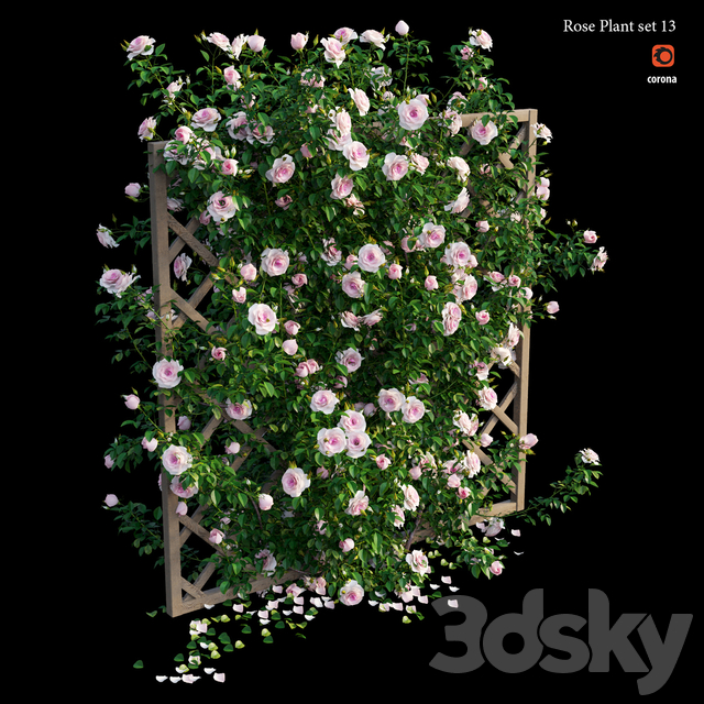 مدل سه بعدی گیاه پیچک 58
