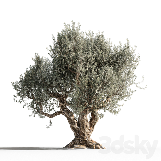 مدل سه بعدی درخت 289