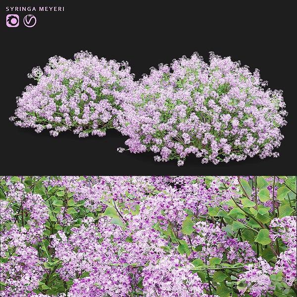 مدل سه بعدی درخت 439